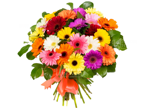 Гюльчатай